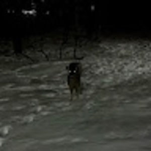 Meet your Posher, Angel